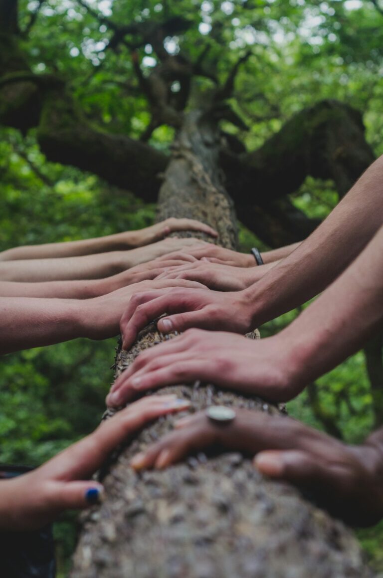 Top Innovations in Charitable Efforts Today
